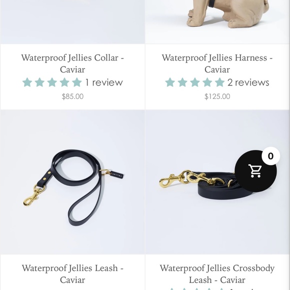 Hound Collection Jellies Harness, Leash, Collar in Cavier M - Picture 4 of 4